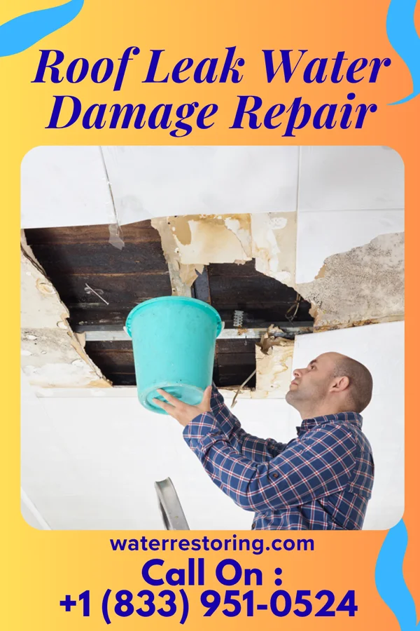 Roof Leak Water Damage Repair in Fargo, ND